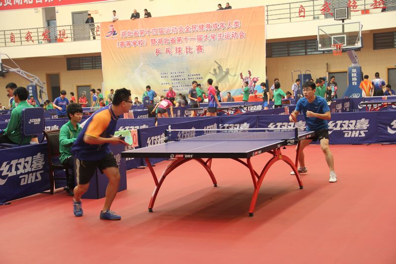 zoty中欧体育稳定线路图片