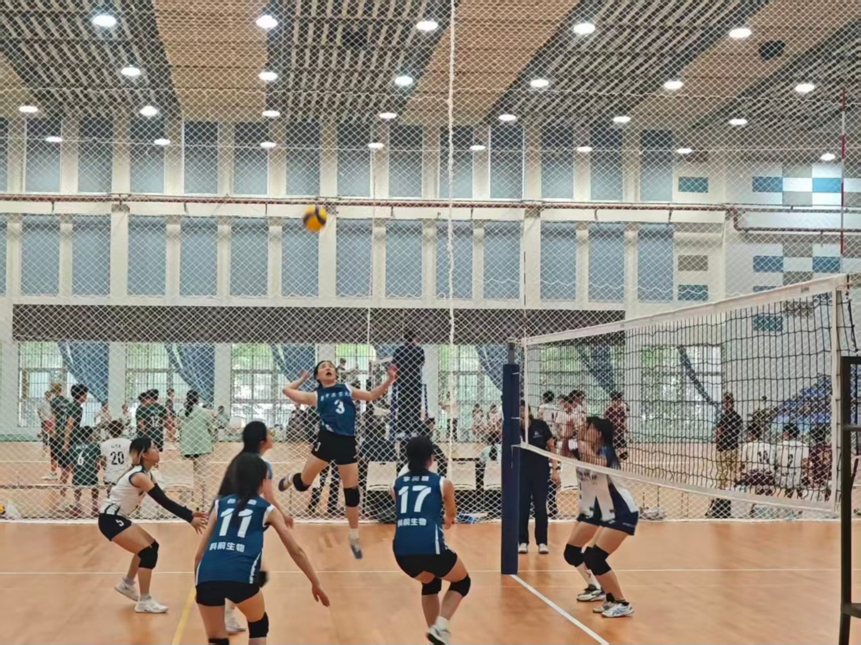 zoty中欧体育平台